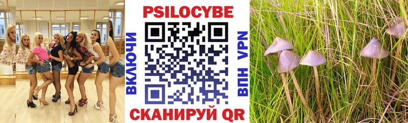 где купить наркотик  Ивдель  Галлюциногенные грибы Magic Shrooms 